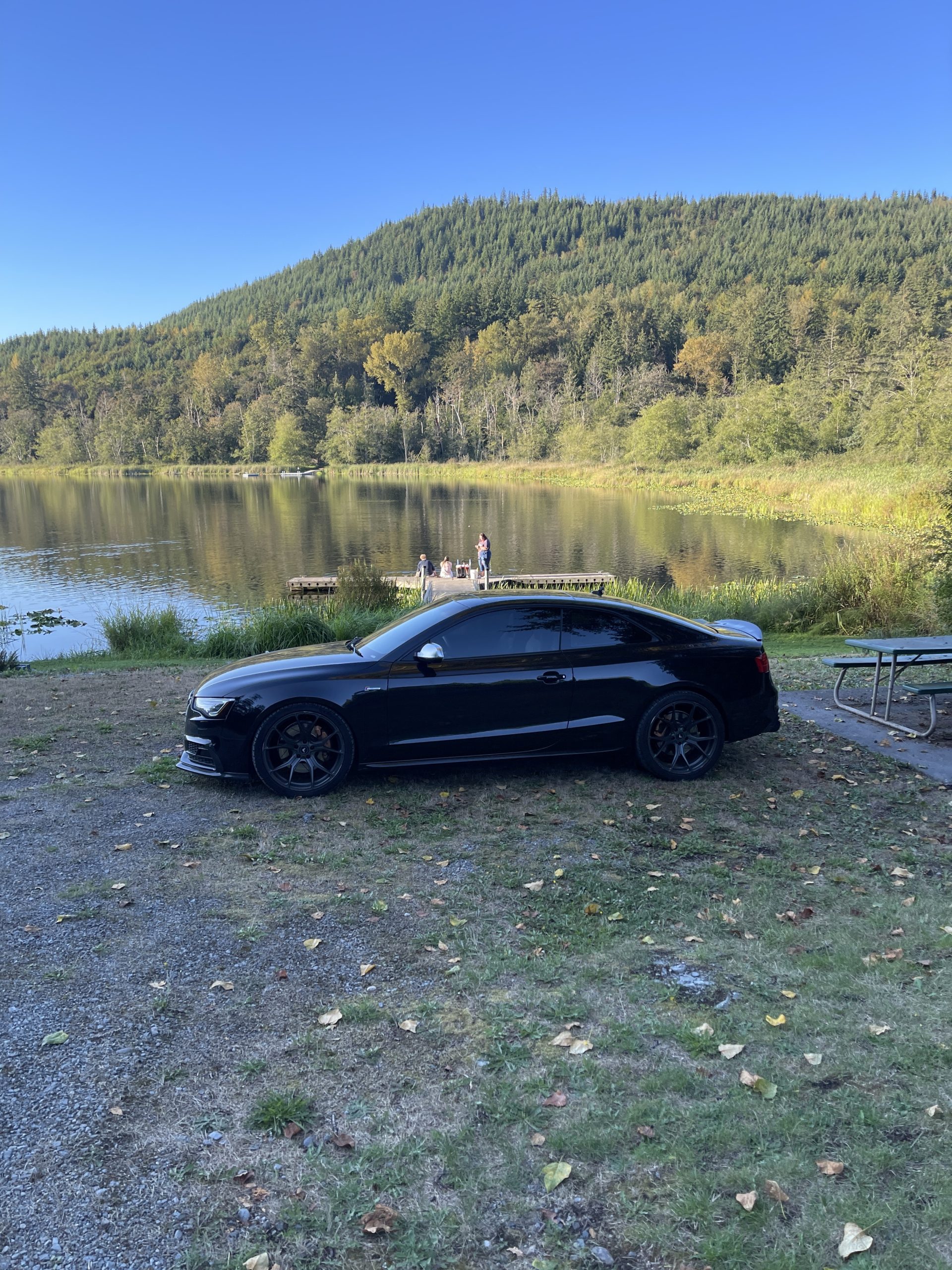 2013 Audi S5